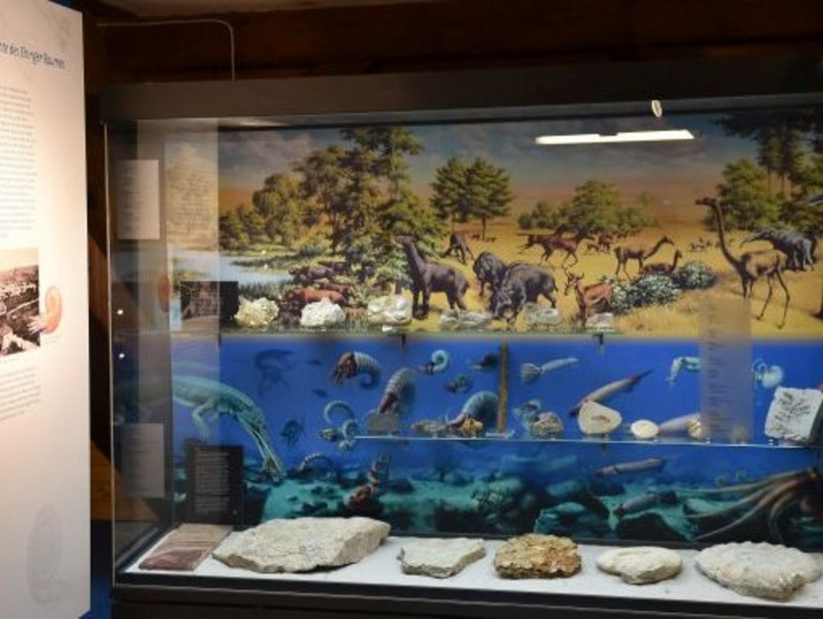 Geopark Infostelle Ehingen Geopark Infostelle Ehingen