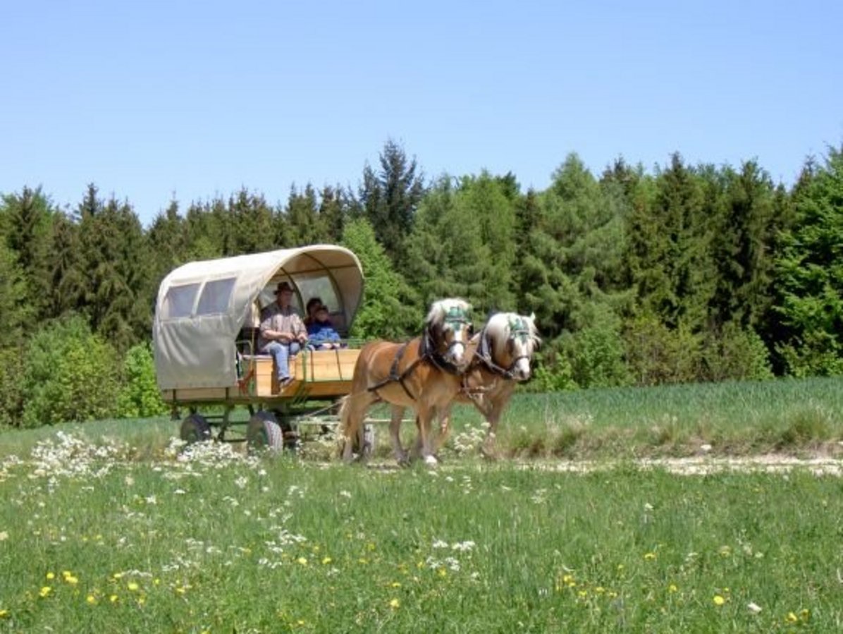 Kutschfahrt in Dächingen Kutschfahrt in Dächingen