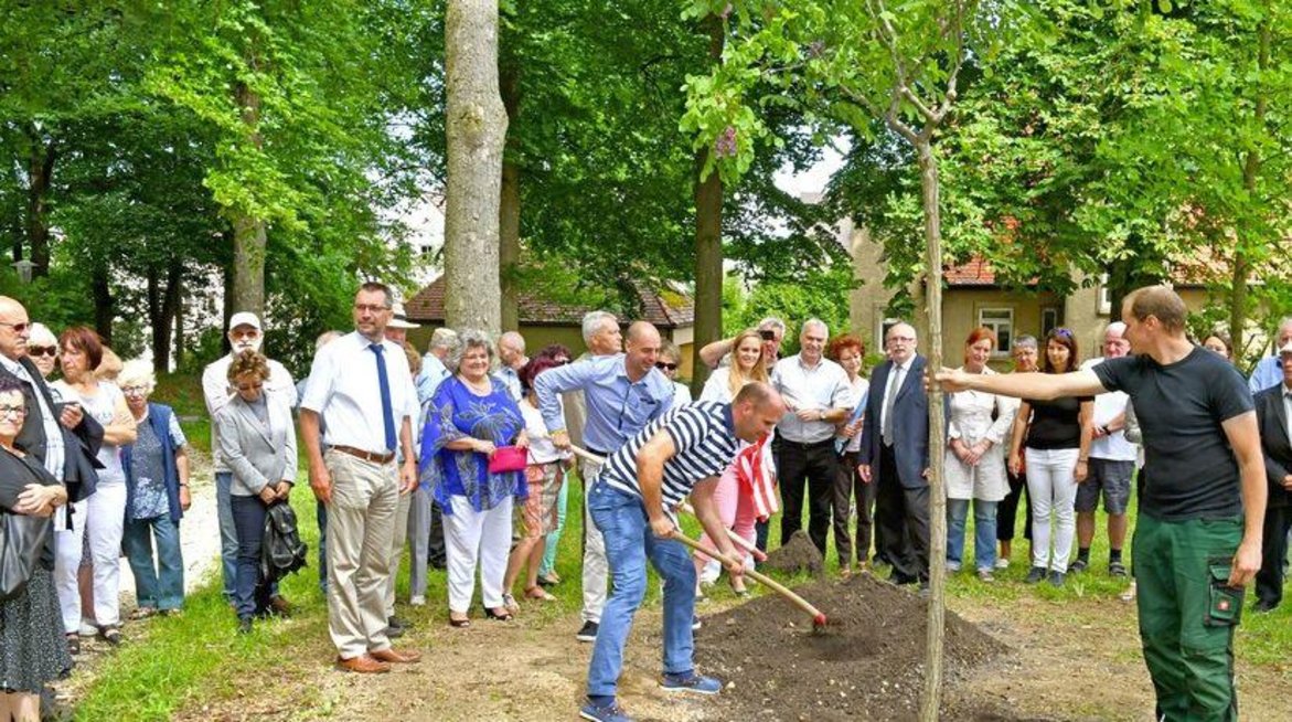 Baumpflanzung.jpg Im Juni 2017 pflanzten die beiden Rathauschefs in der Wolfertanlage eine Akanzie als Partnerschaftsbaum, welche bis heute wächst und gedeiht.